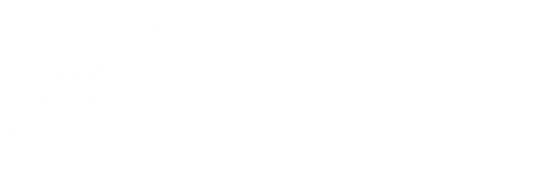 Café Flamenco Sevilla | Tablao flamenco en Sevilla